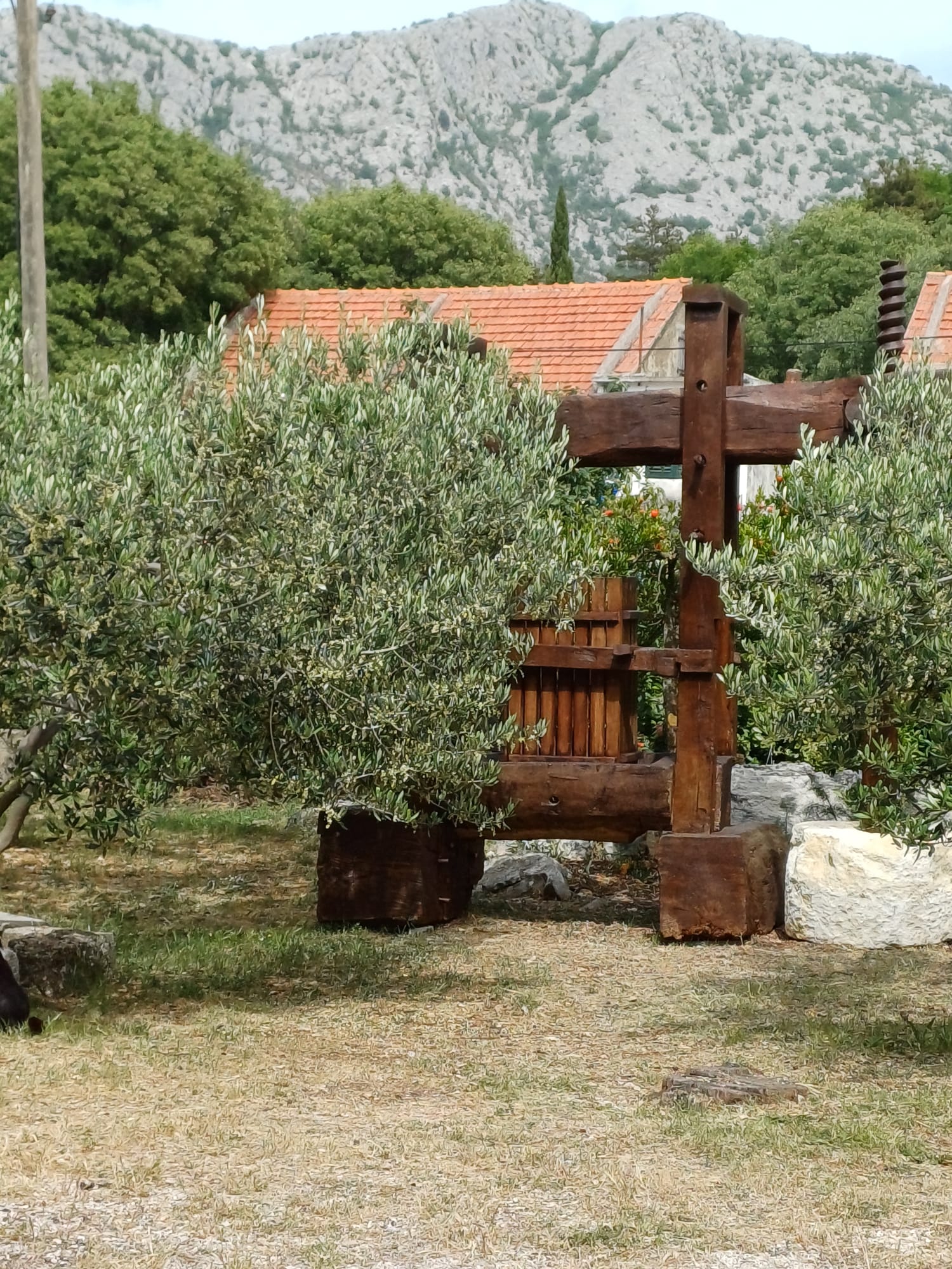 Domaće vino