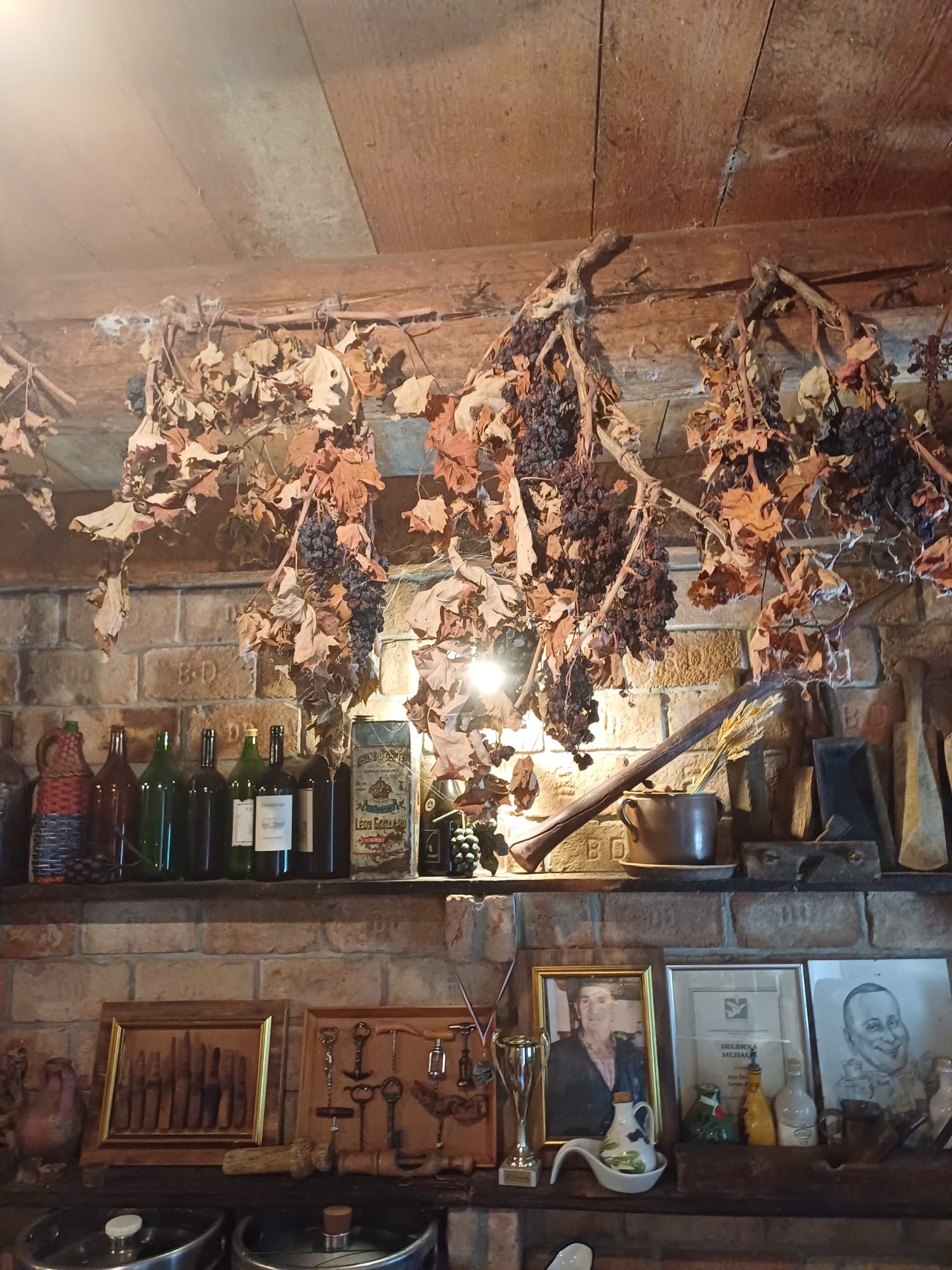 Domaće vino
