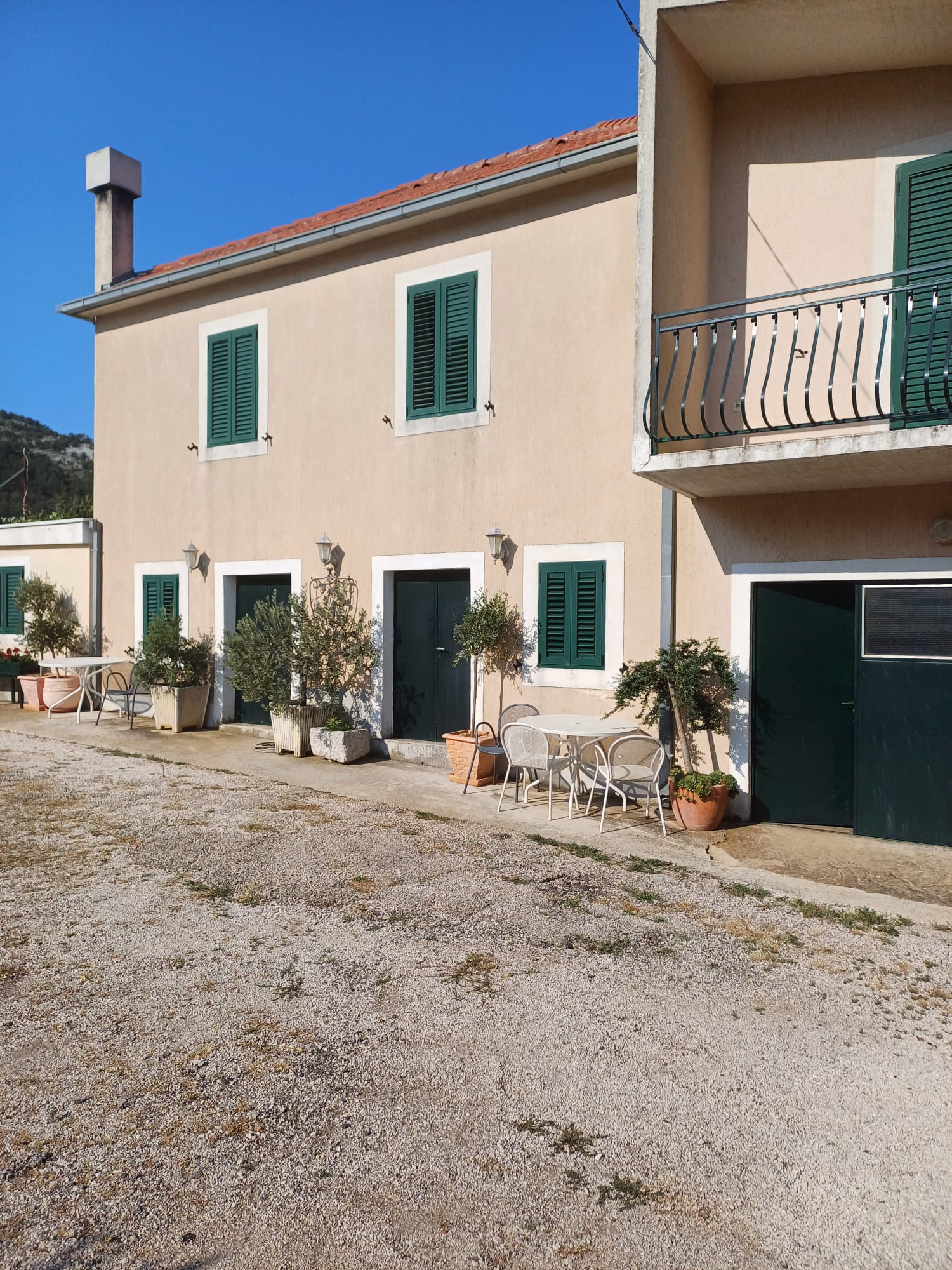 Domaće vino