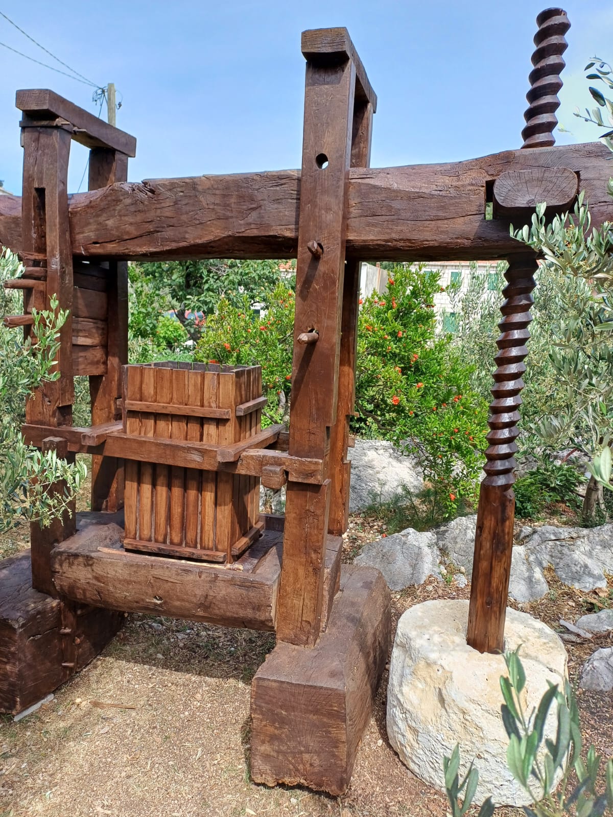 Domaće vino