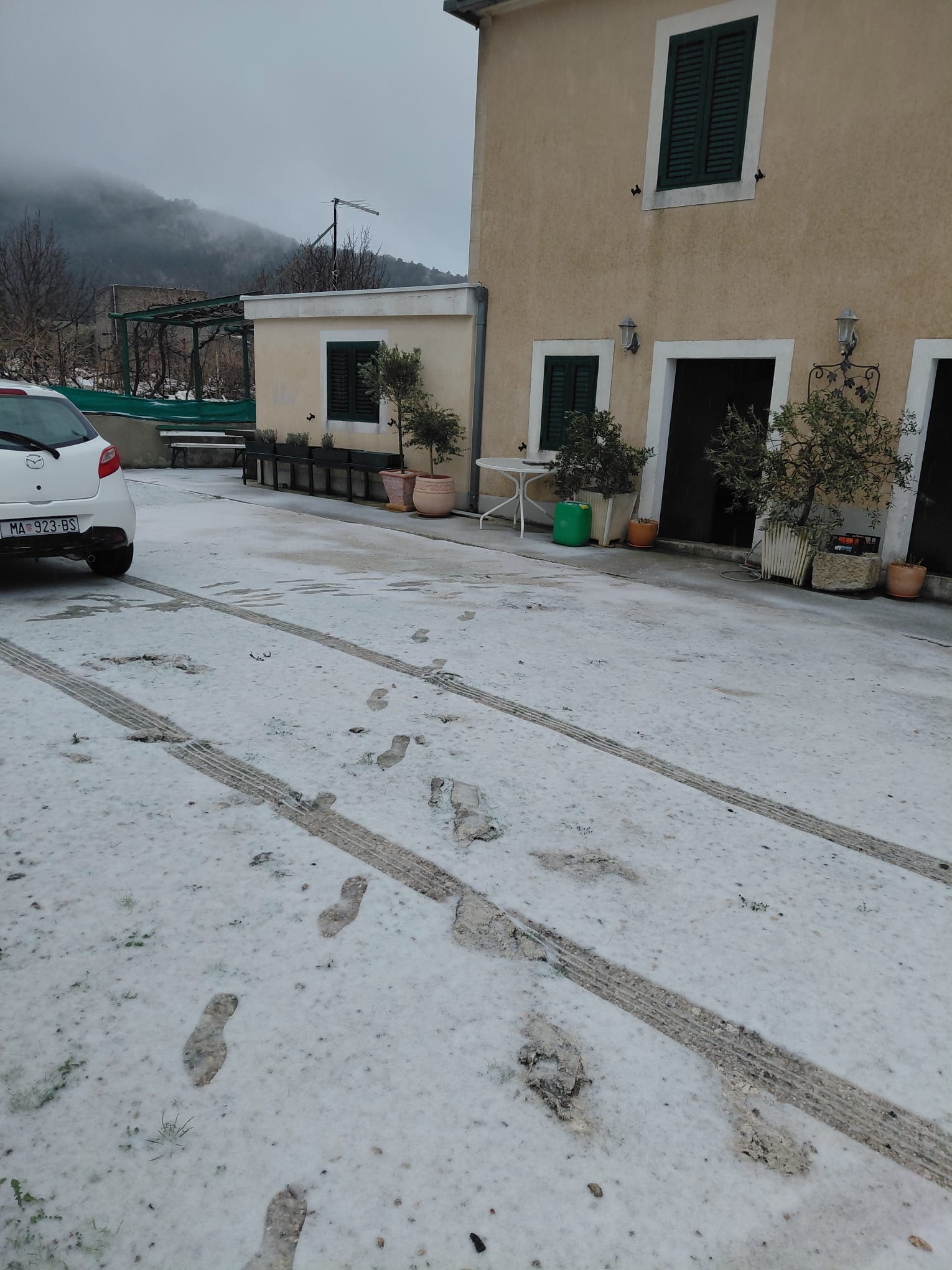 Domaće vino
