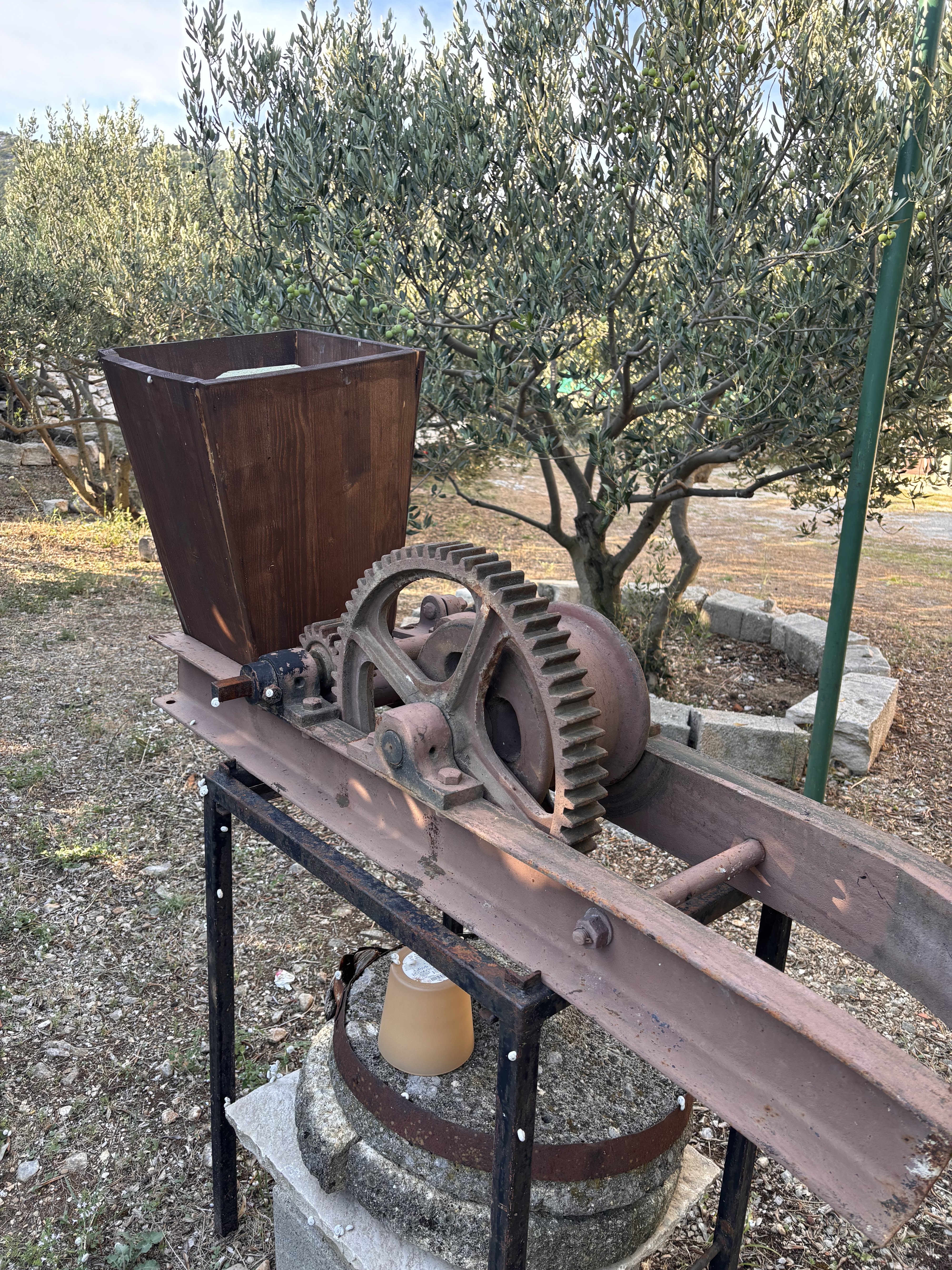 Domaće vino